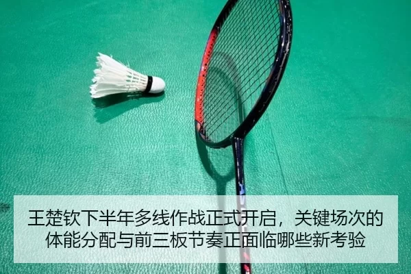 wang-chu-qin-xia-ban-nian-duo-xian-zuo-zhan-zheng-shi-kai-qi-guan-jian-chang-ci-de-ti-neng-fen-pei-yu-qian-san-ban-jie-1-189.jpg